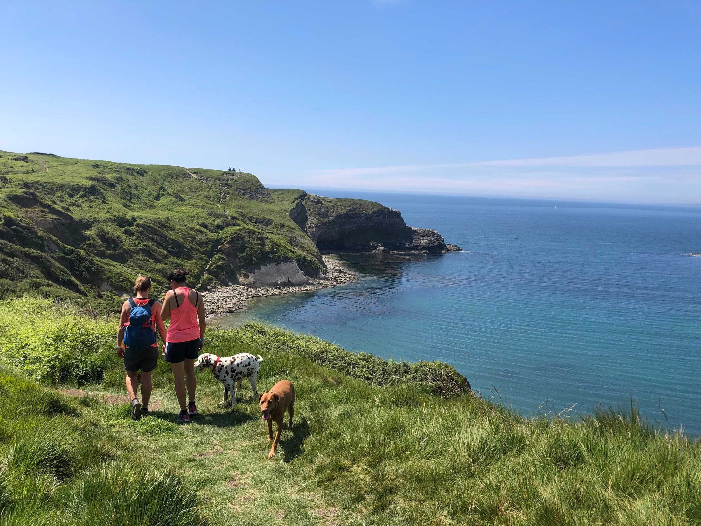 Walkers and their dogs on a coastal path above a cove